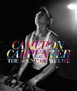 Кэмерон Карпентер: Звук моей жизни / Cameron Carpenter: The Sound of My Life (Blu-ray)