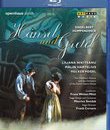 Хумпердинк: Гензель и Гретель / Humperdinck: Hansel Und Gretel - Zurich Opera House (1999) (Blu-ray)