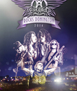 Aerosmith зажигает в Донингтон-Парке / Aerosmith Rocks Donington 2014 (Blu-ray)