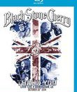 Black Stone Cherry: концерт в Бирмингеме / Black Stone Cherry: Thank You Livin&rsquo; Live (2014) (Blu-ray)