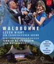 Летний концерт 2016 в Вальдбюне: Чешские ночи / Waldbuhne 2016 - Czech Night (Blu-ray)