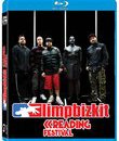 Limp Bizkit: концерт на фестивале Reading-2015 / Limp Bizkit: Reading Festival 2015 (Blu-ray)