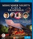 Гала-концерт к открытию фестиваля Графенегг-2018 / Midsummer Night's Gala Grafenegg (2018) (Blu-ray)