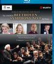 Бетховен: Симфония №9 на концерте Юнеско / The UNESCO Beethoven Symphony No. 9 for Peace (Blu-ray)