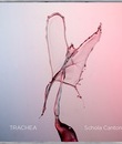 Трахея / Trachea - Schola Cantorum (Blu-ray)