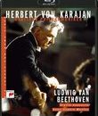 Герберт фон Караян - Бетховен: Концерт для скрипки с оркестром / Herbert von Karajan - Beethoven: Violin Concerto (1984) (Blu-ray)