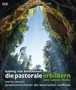 Бетховен: Пасторальная симфония / Beethoven: Die Pastorale in Bildern von Tobias Melle (Blu-ray)