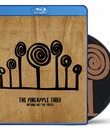The Pineapple Thief: Ничего кроме правды / The Pineapple Thief: Nothing But the Truth (Blu-ray)