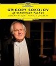 Григорий Соколов во дворце Эстерхази / Grigory Sokolov: At Esterhazy Palace (Blu-ray)