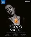 В поисках священного огня песни / Fuoco Sacro: A Search for the Sacred Fire of Song (Blu-ray)