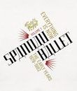 Spandau Ballet: Все есть сейчас - Том 1 - Ранние годы / Spandau Ballet: Everything is Now - Volume 1 - The Early Years 1978-1982 (2 LP + 6 CD + Audio) (Blu-ray)