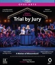 Суд присяжных / Дело о неправомерном поведении / Trial By Jury / A Matter of Misconduct! (Blu-ray)