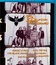 Black Crowes в Сан-Франциско / The Black Crowes: Freak 'N' Roll ...Into The Fog (2005) (Blu-ray)