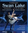 Чайковский: "Лебединое Озеро" / Tchaikovsky: Swan Lake - Zurich Ballet (2009) (Blu-ray)