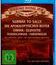 Фестиваль готической музыки 2010 / Feuertanz Festival (2010) (Blu-ray)