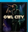 Owl City: концерт в Лос-Анджелесе / Owl City: Live from Los Angeles (2011) (Blu-ray)