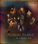 Роберт Плант и The Band of Joy: концерт в Нэшвилле / Robert Plant & The Band of Joy: Live from the Artists Den (2012) (Blu-ray)