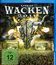 Вакен 2011 - фестиваль тяжелой музыки / Wacken - Live At Wacken Open Air (2011) (Blu-ray)