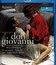 Моцарт: "Дон Жуан" / Mozart: Don Giovanni - Sferisterio Opera Festival (2011) (Blu-ray)