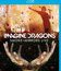 Imagine Dragons: Дым и Зеркала / Imagine Dragons: Smoke + Mirrors Live (2016) (Blu-ray)