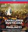 Масканьи: Сельская честь / Леонкавалло: Паяцы / Mascagni: Cavalleria Rustcana / Leoncavallo: Pagliacci (2015) (Blu-ray)