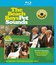 The Beach Boys: Звуки домашних животных / The Beach Boys: Pet Sounds - Classic Albums (2016) (Blu-ray)