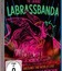 LaBrassBanda: Вокруг света - концерт в Мюнхене к 10-летию группы / LaBrassBanda: Around the World Live - 10 Jahre LaBrassBanda (2017) (Blu-ray)