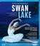 Чайковский: Лебединое озеро / Tchaikovsky: Swan Lake - National Opera of Ukraine (2019) (Blu-ray)
