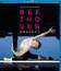 "Бетховен-проект" - балет Джона Ноймайера / Beethoven Project - A Ballet by John Neumeier (Blu-ray)
