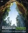 Бетховен: Пасторальная симфония / Beethoven: Die Pastorale in Bildern von Tobias Melle (Blu-ray)