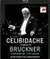 Челибидаке дирижирует 7-ю Симфонию Брукнера / Celibidache Conducts Bruckner Symphony No.7 - Munchner Philharmoniker (1990) (Blu-ray)