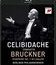 Брукнер: Симфония 7 в исполнении Челибидаке и Берлинской Филармонии / Celibidache Conducts Bruckner Symphony No.7 - Berliner Philharmoniker (1992) (Blu-ray)