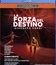 Верди: Сила судьбы / Verdi: La forza del Destino - Teatro del Maggio Musicale Fiorentino (2021) (Blu-ray)