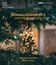 Рождественские концерты SWR / Christmas Concerts (SWR Vokalensemble) (Blu-ray)