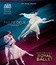 Королевский балет: Сборник Па-де-де & Главное / The Royal Ballet: Pas de Deux & Essential Royal Ballet (Blu-ray)