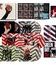 Green Day: Американский идиот (юбилейное делюкс-издание) / Green Day: American Idiot (20th Anniversary Deluxe Edition / 4 CD) (Blu-ray)