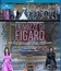 Моцарт: Женитьба Фигаро / Mozart: Le Nozze di Figaro - Wiener Staatsoper (2023) (Blu-ray)