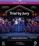 Суд присяжных / Дело о неправомерном поведении / Trial By Jury / A Matter of Misconduct! (Blu-ray)