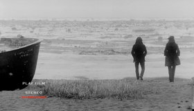The White Stripes: тур по Канаде / The White Stripes: Under Great White Northern Lights (2009) (Blu-ray)