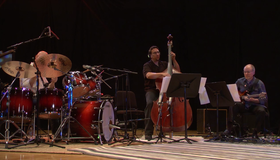 Демо-диск 3D Music из серии Acoustica / The AIX All Star Band - Goldberg Variations Acoustica (Blu-ray 3D)
