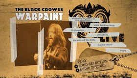 The Black Crowes: концерт Warpaint / The Black Crowes: Warpaint - Live (2008) (Blu-ray)