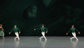 Демо-сборник: Лучшее из Оперы и Балета / The Blu-ray Experience: Opera & Ballet Highlights (2008) (Blu-ray)