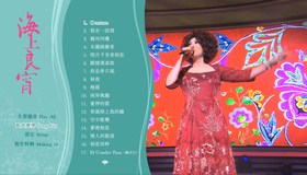 Цай Чин: концерт в Гонконге / Tsai Chin HK Concert Live (2010) (Blu-ray)