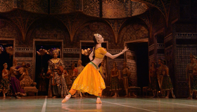 Минкус: Баядера (Баядерка) / Minkus: La Bayadère - Paris Opera Ballet (2009) (Blu-ray)