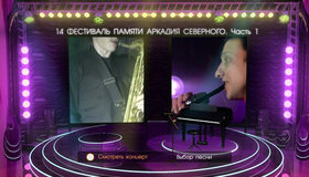 14 ежегодный фестиваль Аркадия Северного (2009) / 14th Anniversary Festival Arkadiy Severniy (2009) (Blu-ray)