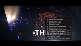 Губерт-Феликс Тифейн: тур "Человека народа" / Hubert-Felix Thiefaine: Homo Plebis Ultimae Tour (2012) (Blu-ray)