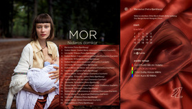 MOR - исполняет Нидаросский кафедральный хор / MOR (Pure Audio) (Blu-ray)