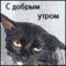 Аватар для Ohrim