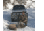Аватар для Mr_Maddog