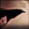 Аватар для poilirihead